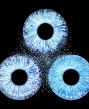 Studio Lichtwert Bild 18