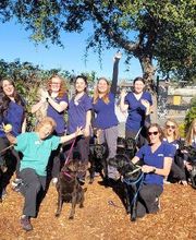 Acorn Hills Animal Center / Amador Veterinary Emergency Clinic image 1