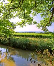 Union Coopérative Foncalieu image 1