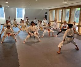 Krav Maga Illnau Effretikon/Karate-Do Basilisk Bild 5