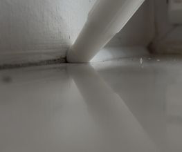 IMG_7519.png