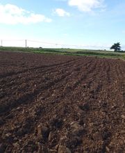 Poisson SARL image 2