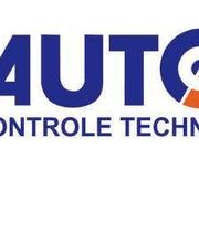 Autosur image 2