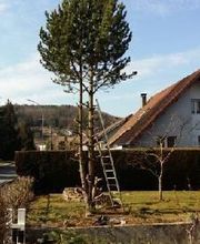 Baron Frederic image 20