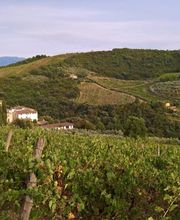 Weinhandel Eder Bild 1
