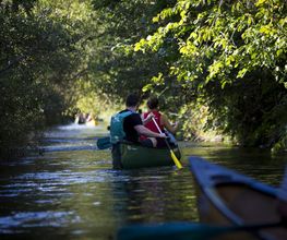 Alsace Canoës image 3