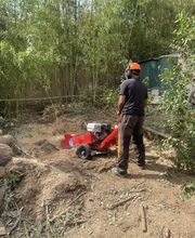 Elag'Art et Jardins image 7