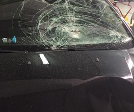 junited AUTOGLAS Leipzig-Neulindenau Bild 10