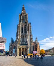 HTT Umzüge Helmut Traxl Transport GmbH Bild 2