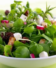 Restaurant Pizza Bella Bild 15