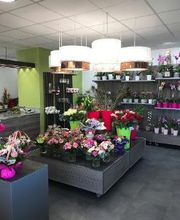 Carrément Fleurs - Fleuriste Toulouse Revel 31 - Livraison de fleurs à domicile image 4