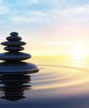 Raoul Céline image 1