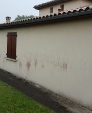 Poumeyrol Teddy image 10