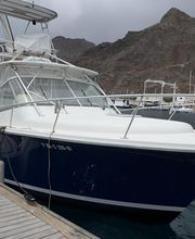 Boat 360 - Pesca Deportiva & Chárter Privado Tenerife imagen 7