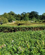 Alex Paysage image 10