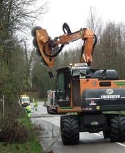 Sarl Pierrot Elagage image 7