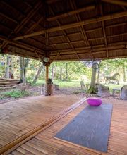 CENTRE SHENYU image 4