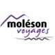 Moléson Voyages SA