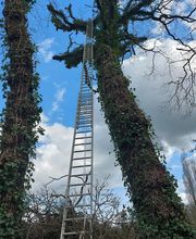 PAUL Elagage image 9