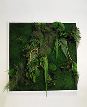 DECO-VEGETALE image 7