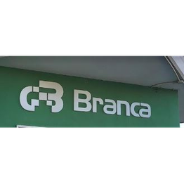 Branca Termoidraulica Srl logo