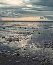 Lindenhof1887 Bild 10