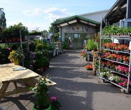 Raiffeisen-Markt Osterwald Bild 6
