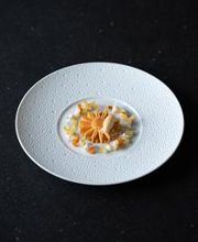 NOVO New Dining afbeelding 14