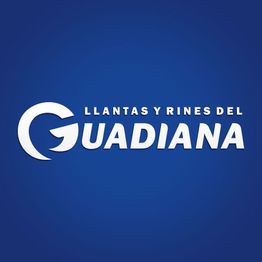 Llantas y Rines del Guadiana Suc. Blvd Durango