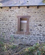 Camus Damien image 11