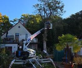 Der Gartenhelfer Bild 6