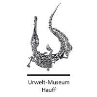 Das Urwelt-Museum Hauff mit seinen weltberühmten Versteinerungen aus den Posidonienschiefern steht inmitten der Fossilfundstätte Holzmaden.