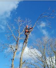 Gestin Environnement image 4