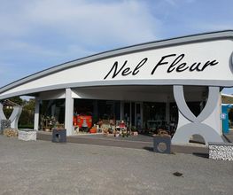 Nel Fleur image 5