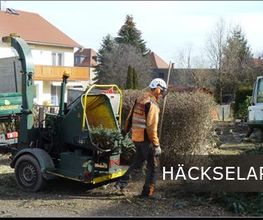Baumdienst Schaller Bild 5
