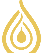 311364418-1-ysEFac9oqp1779986207322.png