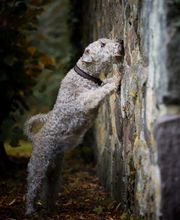 SH-Immo & partner Bild 3