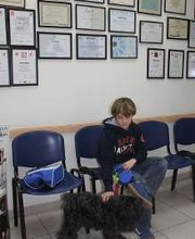 Argos Clínica Veterinaria imagen 8