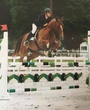 Equitation Passion image 7
