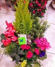Au Jardin Fleuri image 7