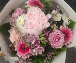 Blumen Belga Bild 4