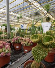 Jardins Issler image 4