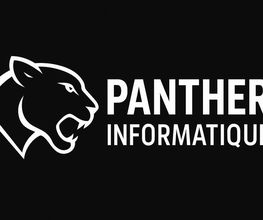 Panther Informatique image 3
