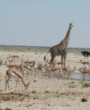 Planète Evasion SA Bild 1