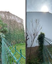 Le Peintre image 6