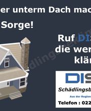 DISO Schädlingsbekämpfung Bild 4