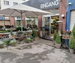 Floria Blumen Bild 18