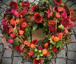 Blumen Advena Bild 3