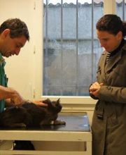 Gabriel Pierre-Gilles image 3