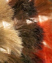 La Coupe A Coeur image 1